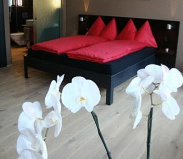 Hotel Quersinn Pfäffikon Quarto foto